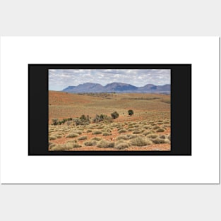 Wilpena Pound, Flinders Ranges in the Spring Posters and Art